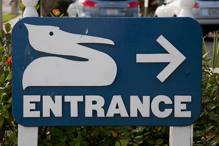 Reportage Seabird Sanctury